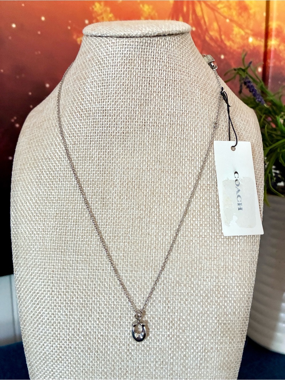 Coach Silver Pendant Necklace